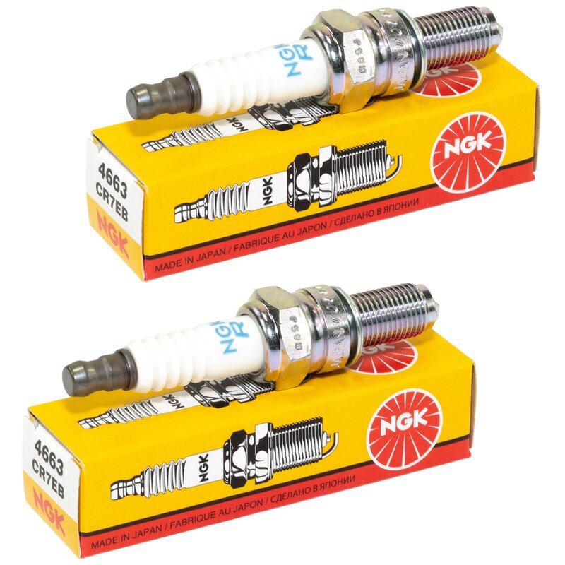 Two NGK spark plugs with their packaging on a white background